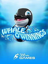 Whale OWinnings