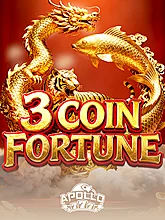 3 Coin Fortune