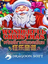 Wonderful Christmas