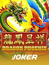 Dragon Phoenix