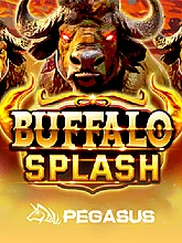 Buffalo Splash