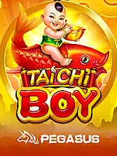 TaichiBoy