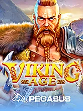 Viking Age