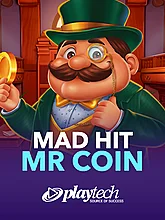 Mad Hit Mr Coin