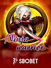 Ninja Warrior